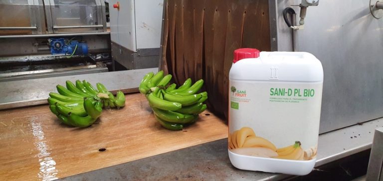Tratamientos postcosecha ecológicos para plátano y banana orgánicos