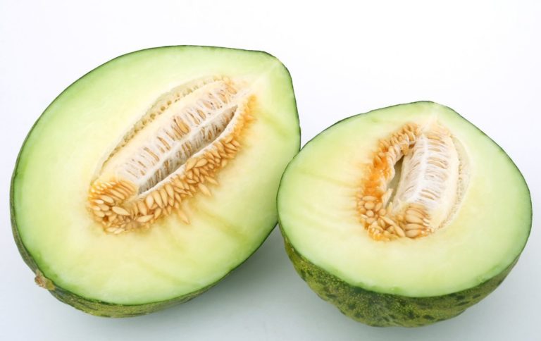 Nuevo tratamiento postcosecha sin residuos para melón: reduce las mermas, las oxidaciones y pardeamientos y evita la deshidratación con SANI-M y SANI-M L.